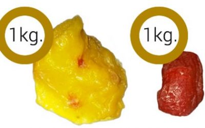 ¿De qué estamos hechos? Conocer de que estamos compuestos para saber qué nutrición necesitamos y qué comer