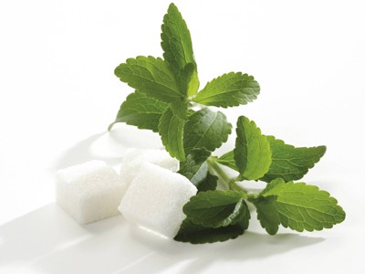 Alternativa al azúcar y la sacarina: La Estevia. El endulzante natural