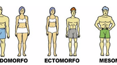 Qué tipo de cuerpo tengo, cuáles son sus características y qué necesito para mejorar mi salud y mi físico