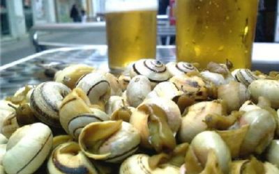 ¿Engordan los caracoles o es sano comerlos?
