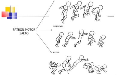 ¿Cómo modificar los patrones motores?